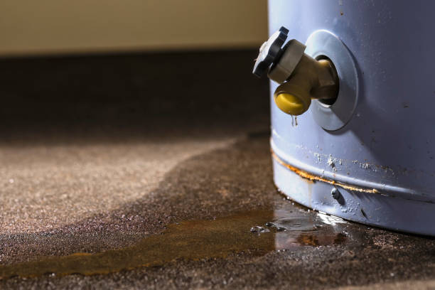 Best Water damage mitigation services  in Edgar, WI