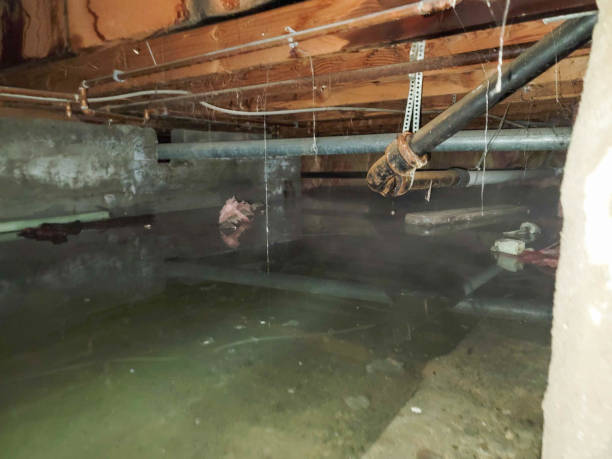 Best Residential water damage restoration  in Edgar, WI