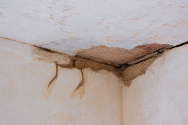 Best Local water damage restoration  in Edgar, WI